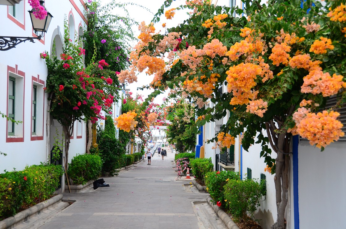 Gran Canaria, Playa del Cura, Mogan, Tejeda, Artenara