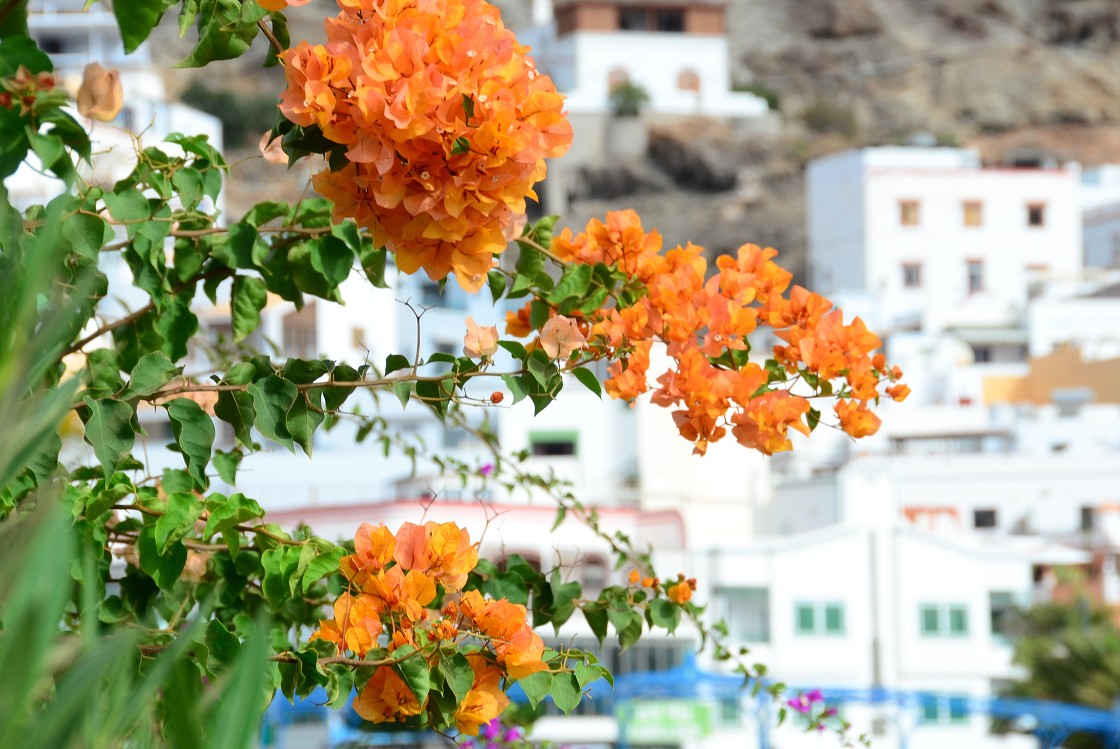 Gran Canaria, Playa del Cura, Mogan, Tejeda, Artenara