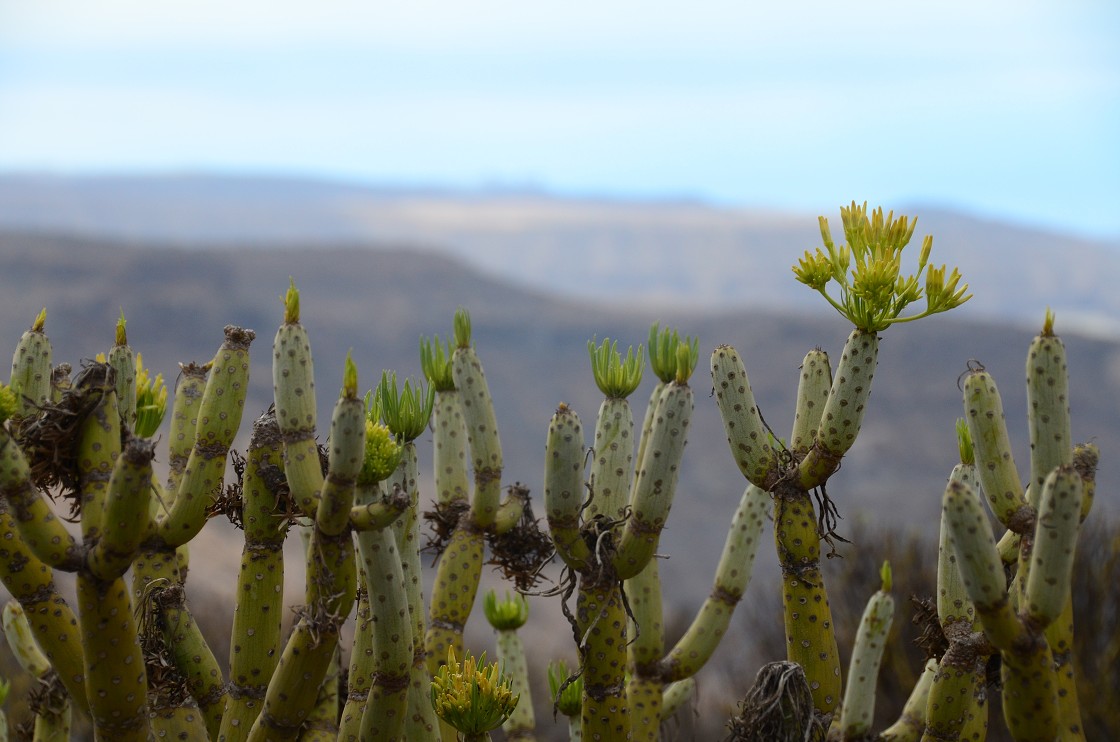 Gran Canaria, Playa del Cura, Mogan, Tejeda, Artenara