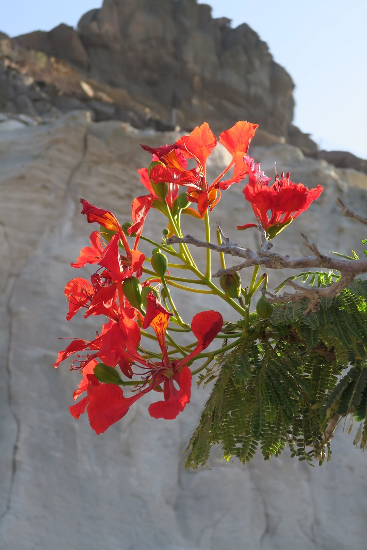 Gran Canaria, Playa del Cura, Mogan, Tejeda, Artenara