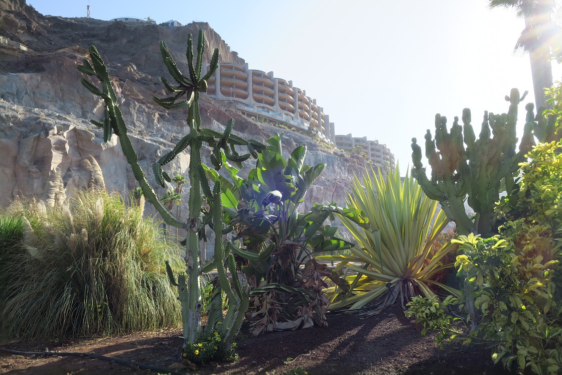 Gran Canaria, Playa del Cura, Mogan, Tejeda, Artenara