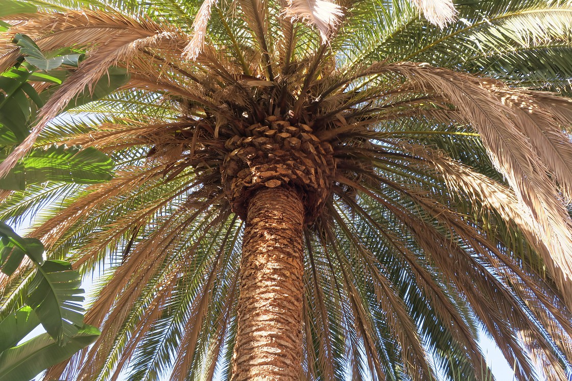 Gran Canaria, Playa del Cura, Mogan, Tejeda, Artenara