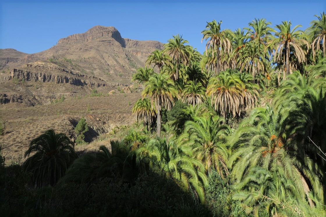 Gran Canaria, Playa del Cura, Mogan, Tejeda, Artenara