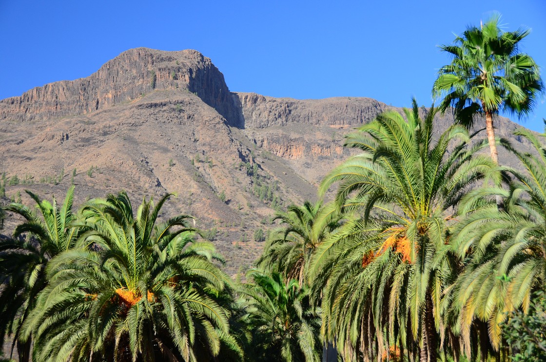 Gran Canaria, Playa del Cura, Mogan, Tejeda, Artenara