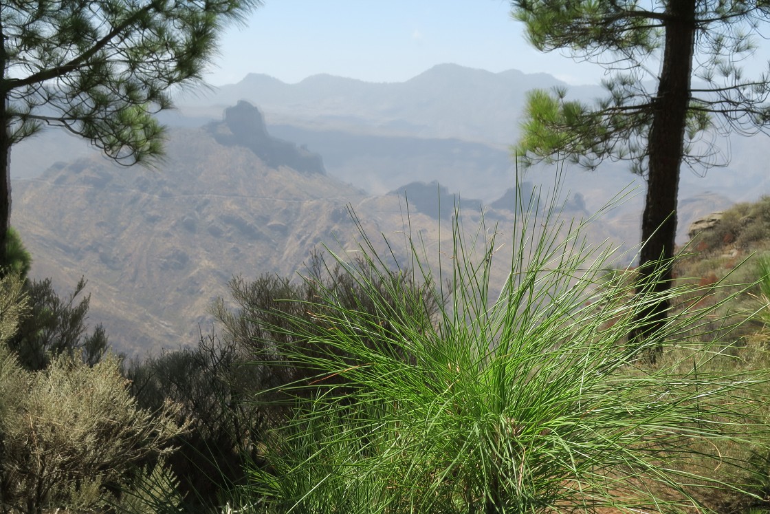 Gran Canaria, Playa del Cura, Mogan, Tejeda, Artenara