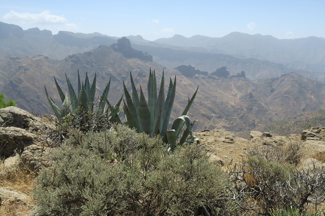 Gran Canaria, Playa del Cura, Mogan, Tejeda, Artenara