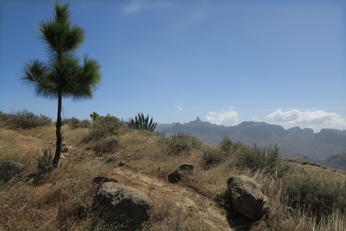 Gran Canaria, Playa del Cura, Mogan, Tejeda, Artenara