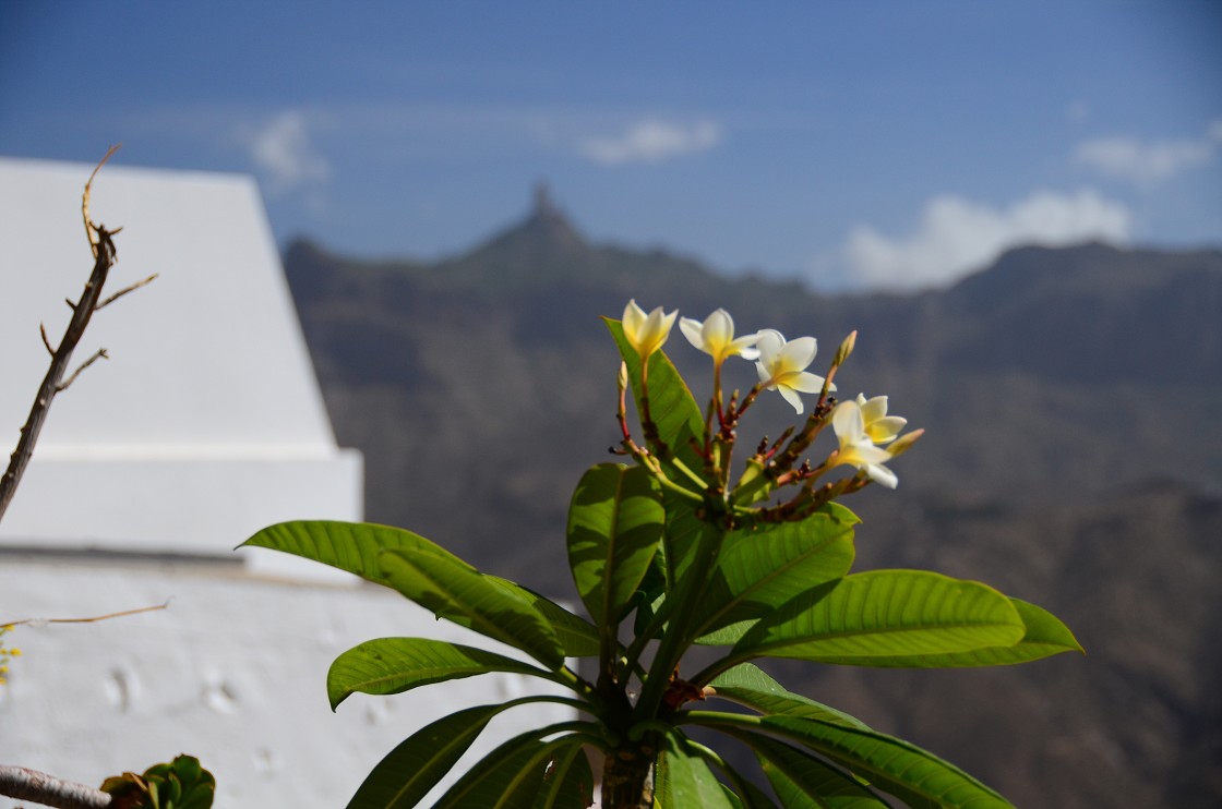 Gran Canaria, Playa del Cura, Mogan, Tejeda, Artenara