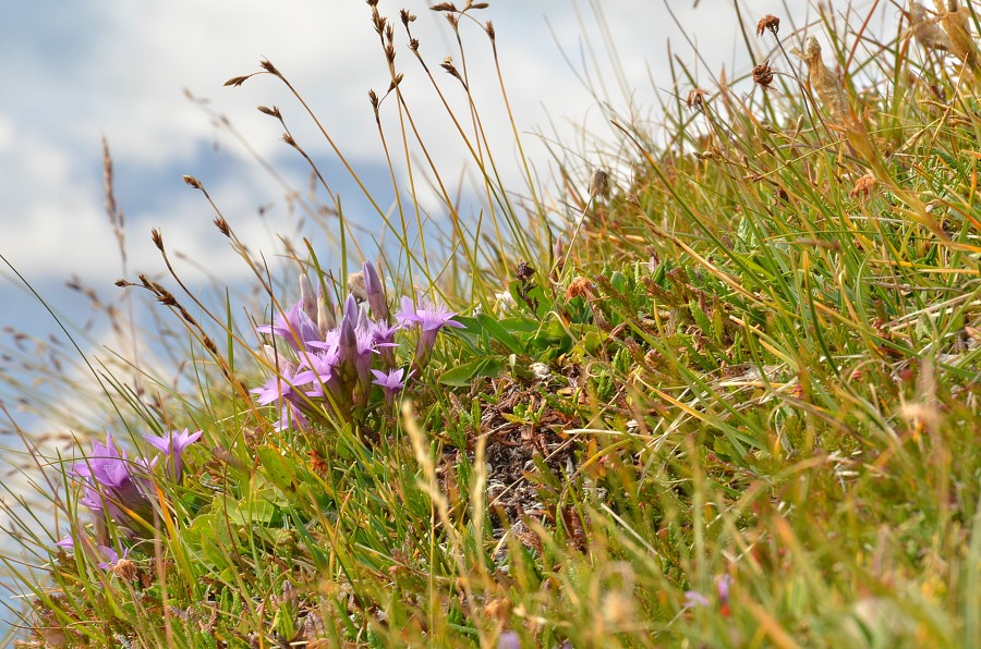 Dolomity 2012