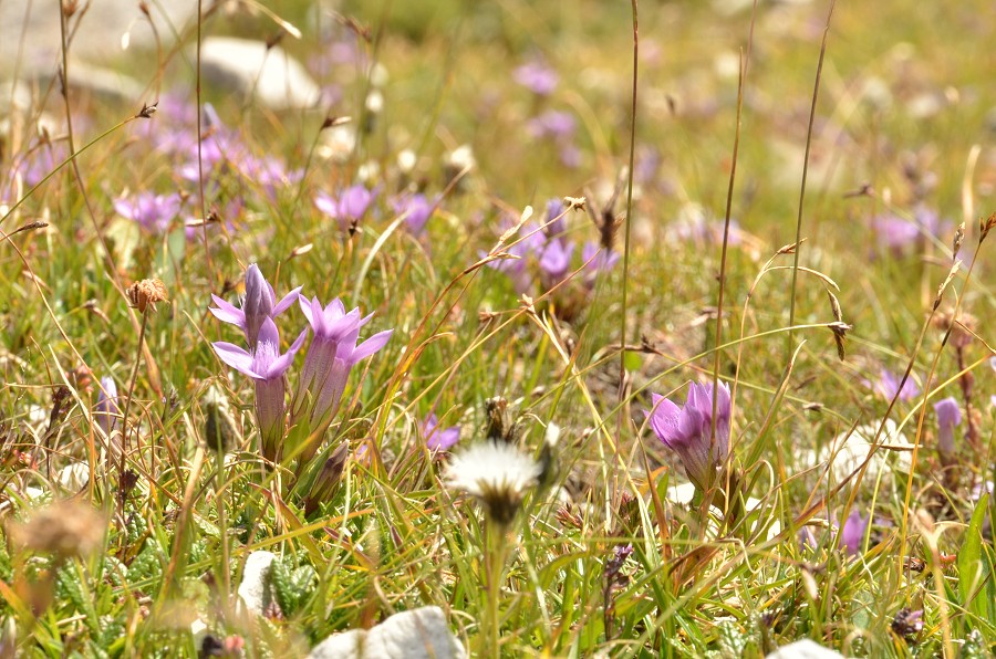 Dolomity 2012