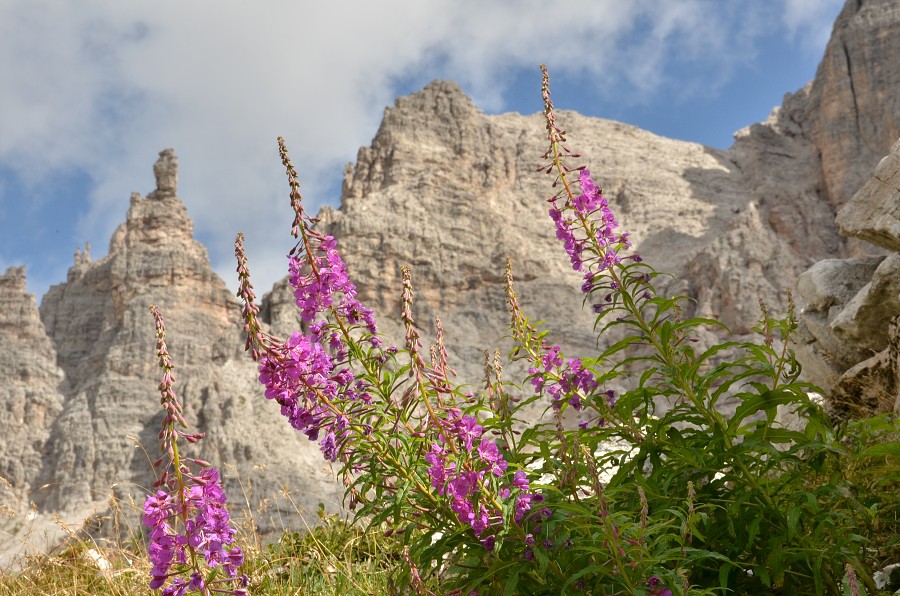 Dolomity 2012