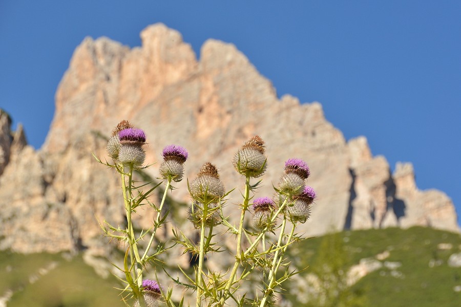 Dolomity 2012