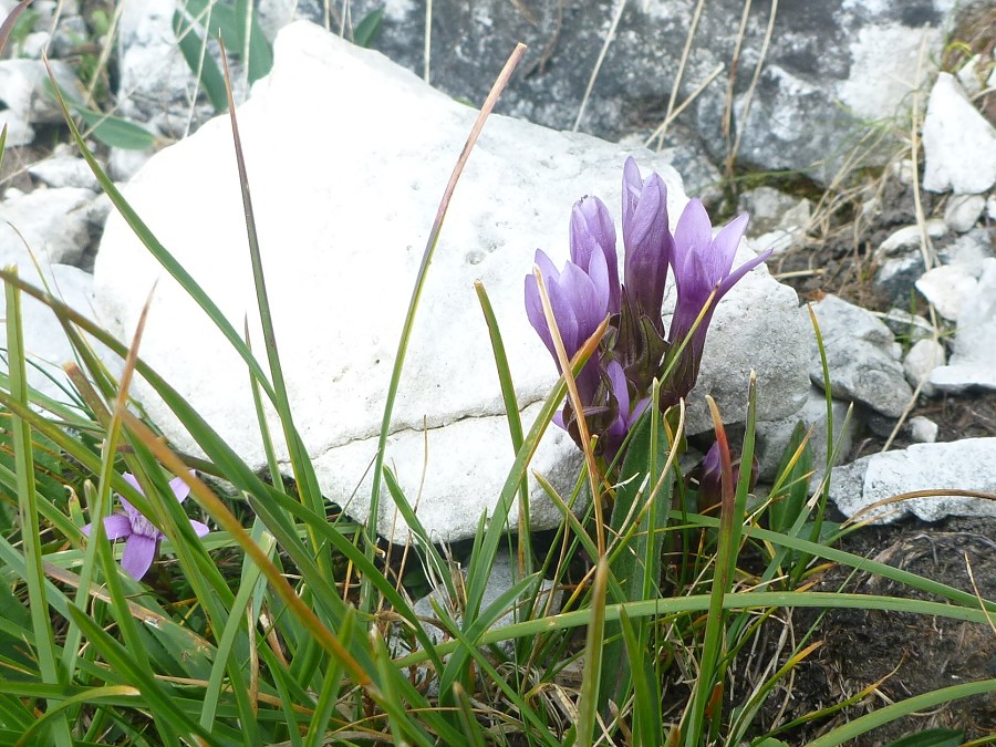 2013, Dolomity, Cortina d'Ampezzo