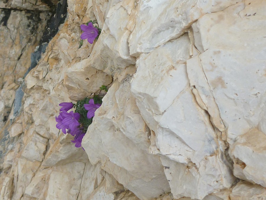 2013, Dolomity, Cortina d'Ampezzo