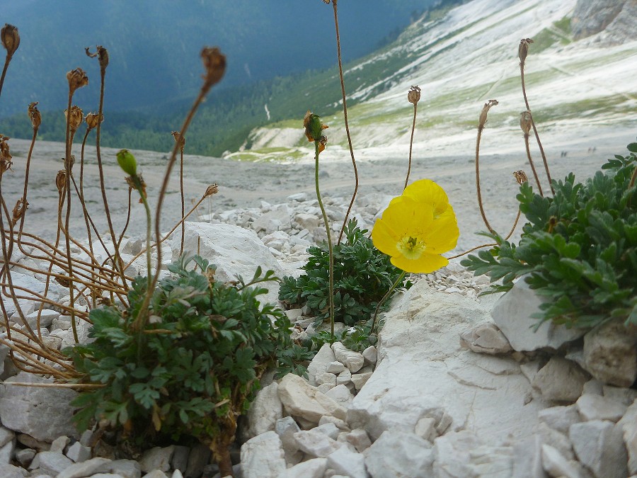 2013, Dolomity, Cortina d'Ampezzo