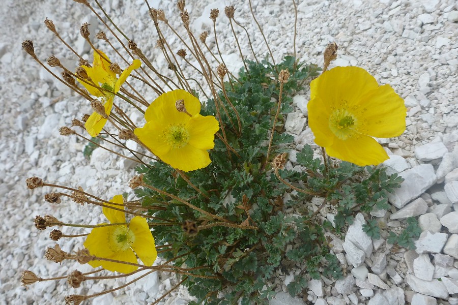 2013, Dolomity, Cortina d'Ampezzo