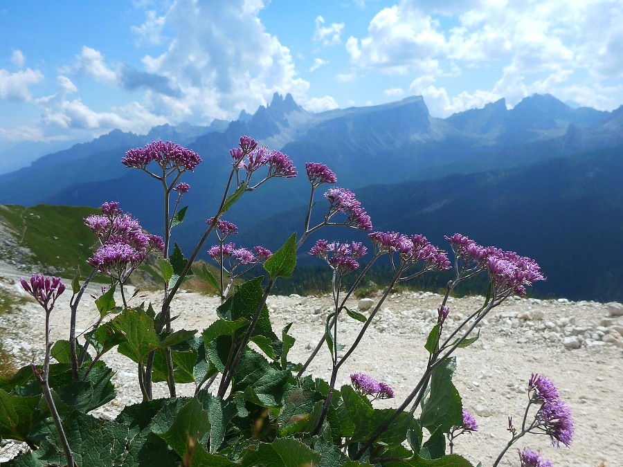 2013, Dolomity, Cortina d'Ampezzo