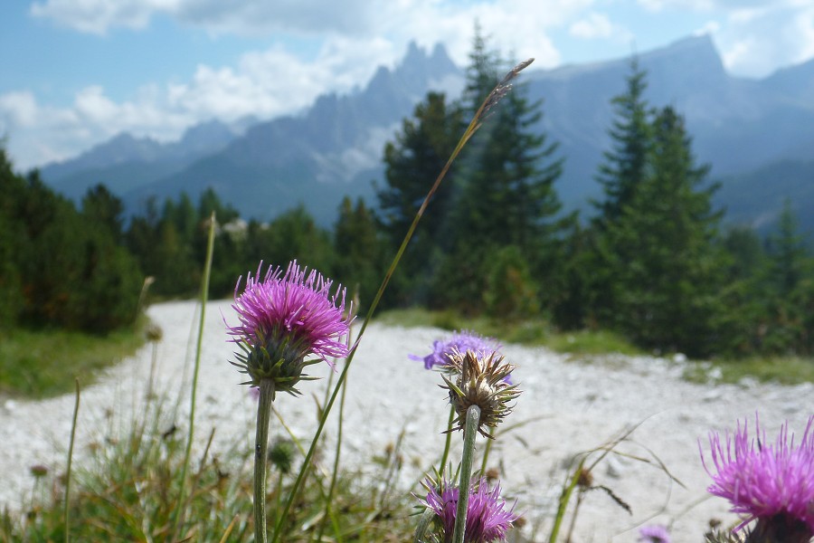 2013, Dolomity, Cortina d'Ampezzo