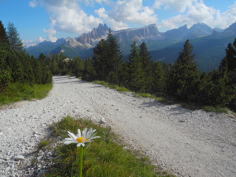 2013, Dolomity, Cortina d'Ampezzo