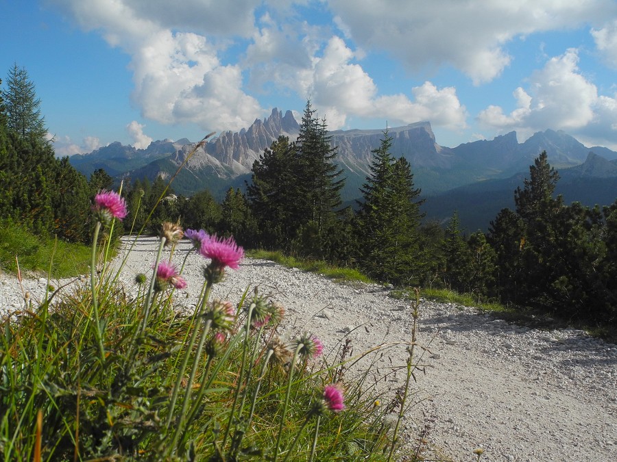 2013, Dolomity, Cortina d'Ampezzo