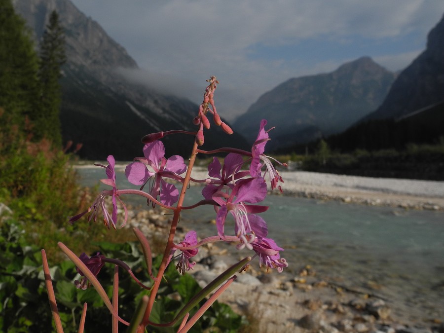 2013, Dolomity, Cortina d'Ampezzo