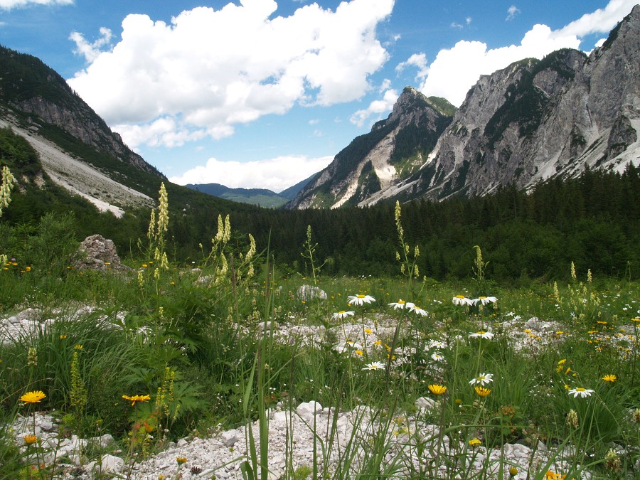 Julské Alpy 2009