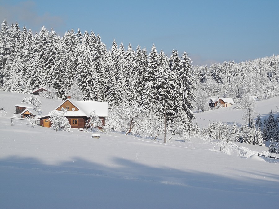 Alpy Saalbach a Beskydy 2013