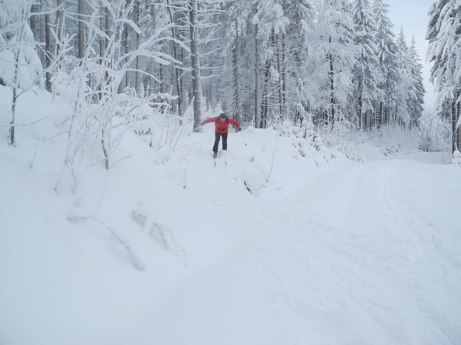 Alpy Saalbach a Beskydy 2013