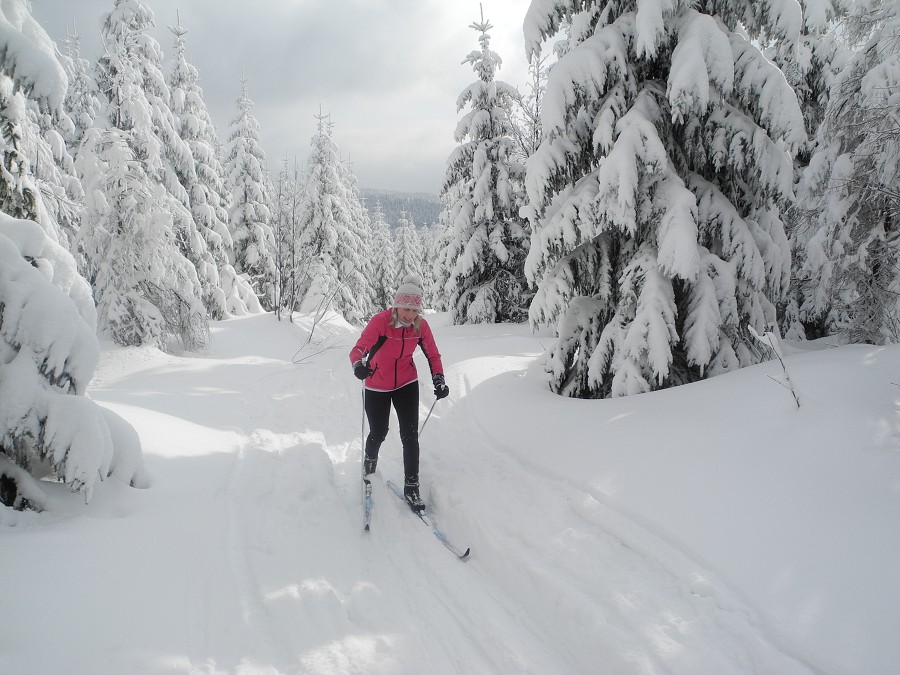 Alpy Saalbach a Beskydy 2013