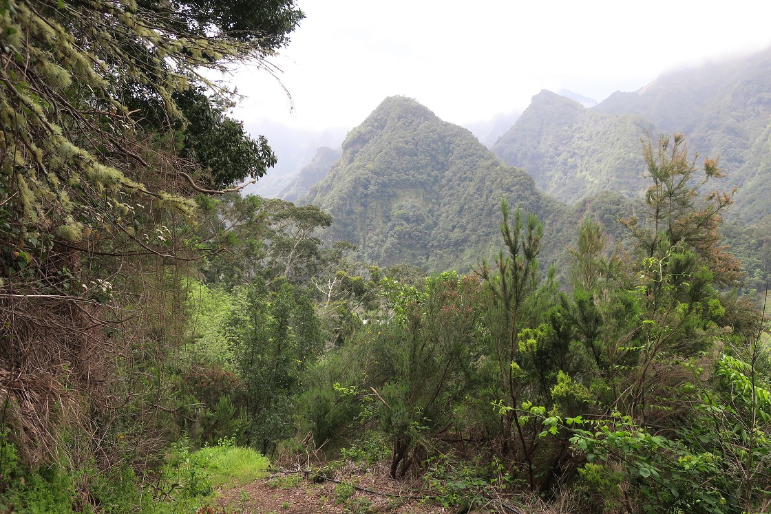 Madeira 2019