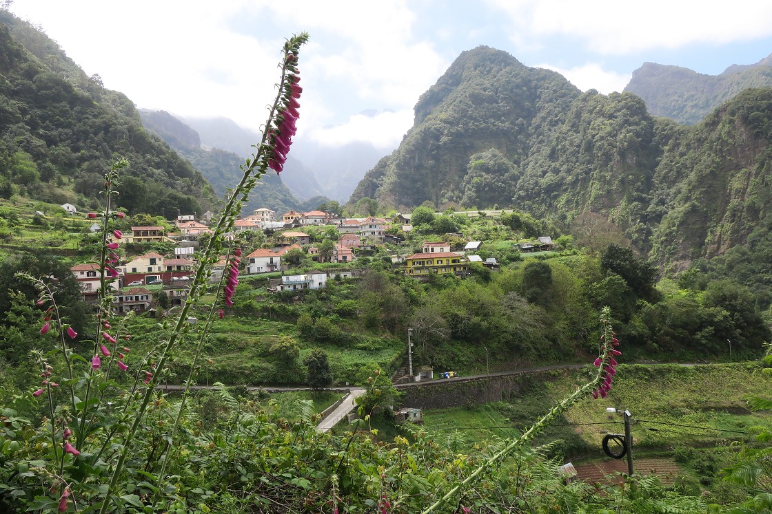 Madeira 2019