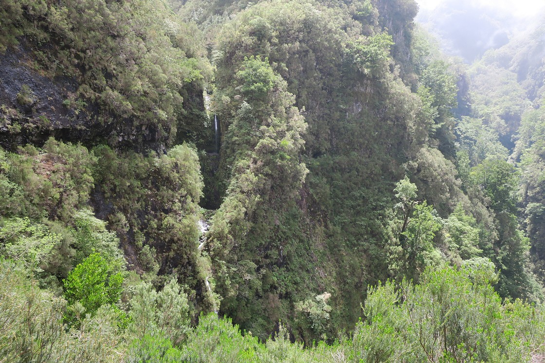 Madeira 2019