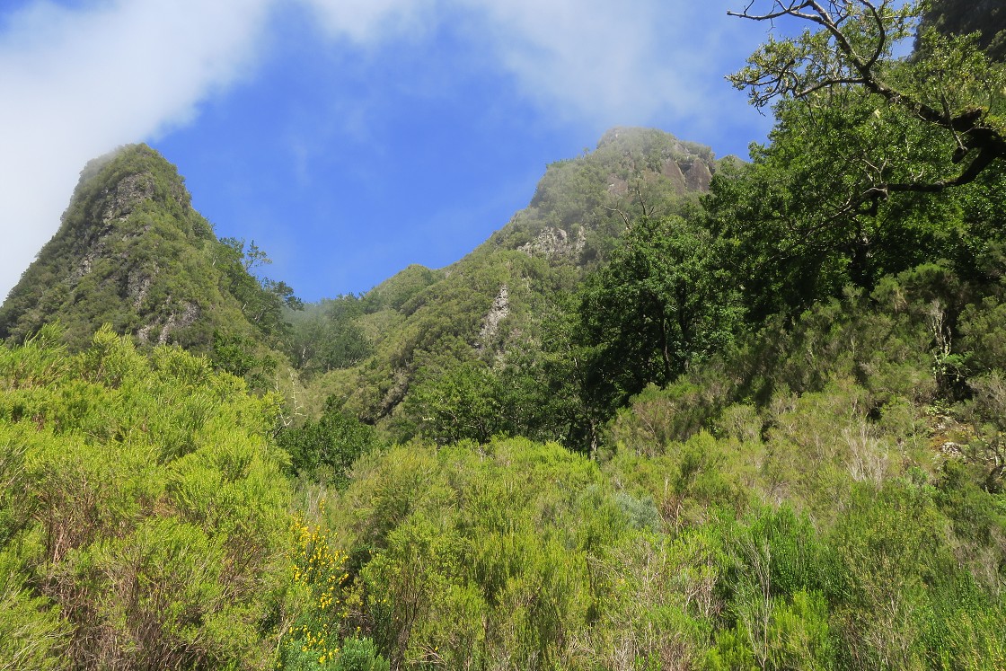 Madeira 2019