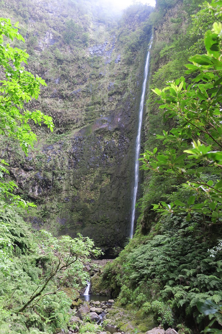 Madeira 2019