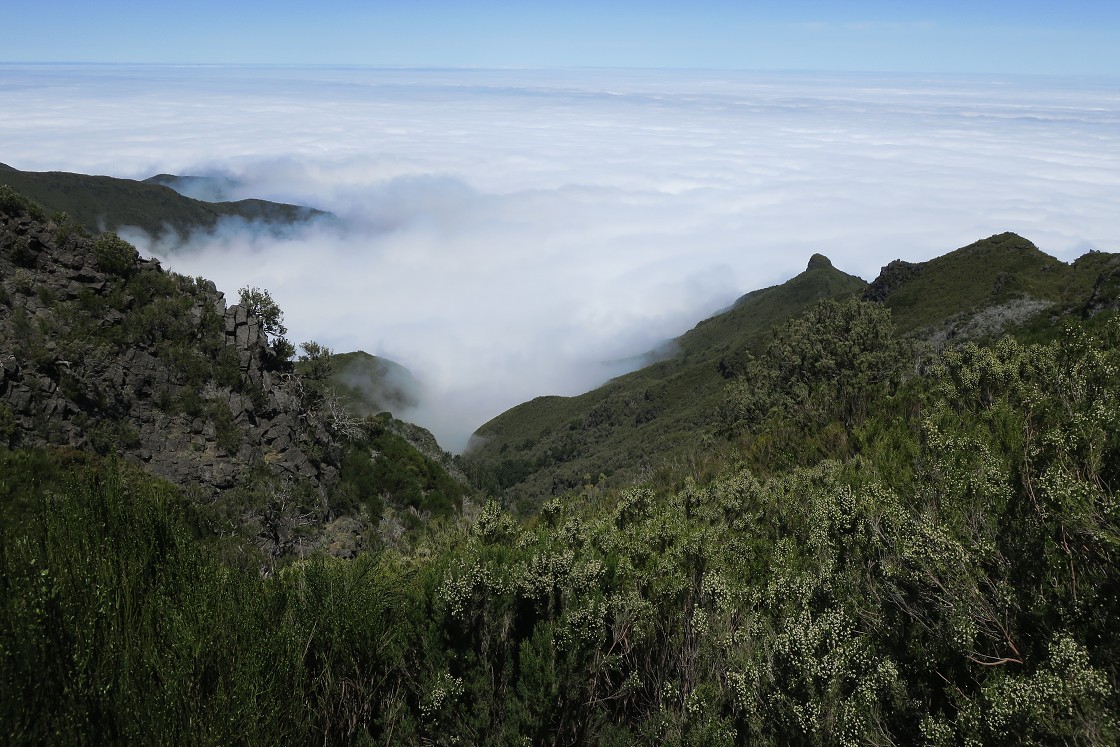 Madeira 2019