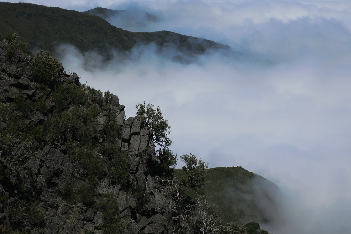 Madeira 2019