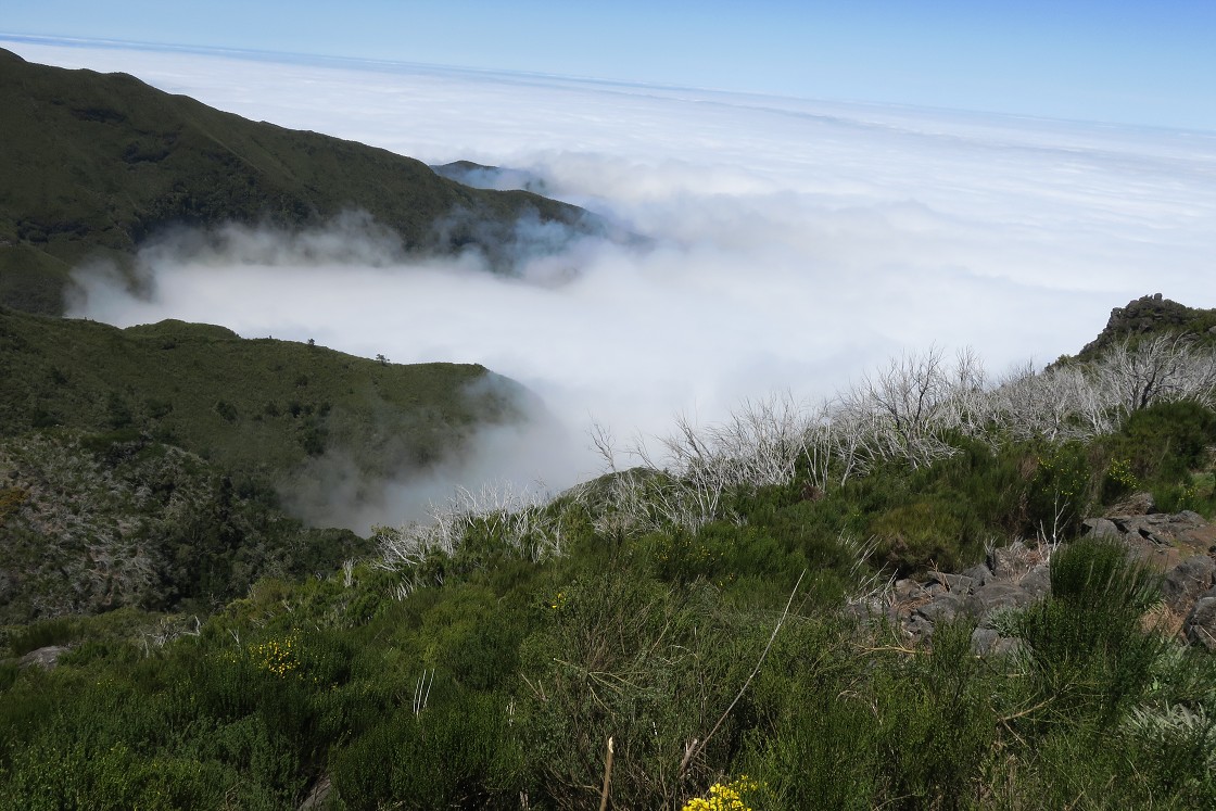 Madeira 2019