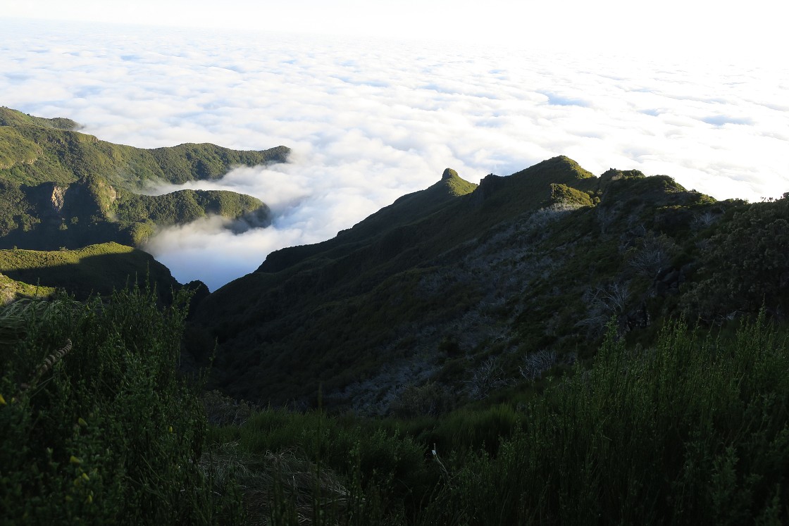 Madeira 2019