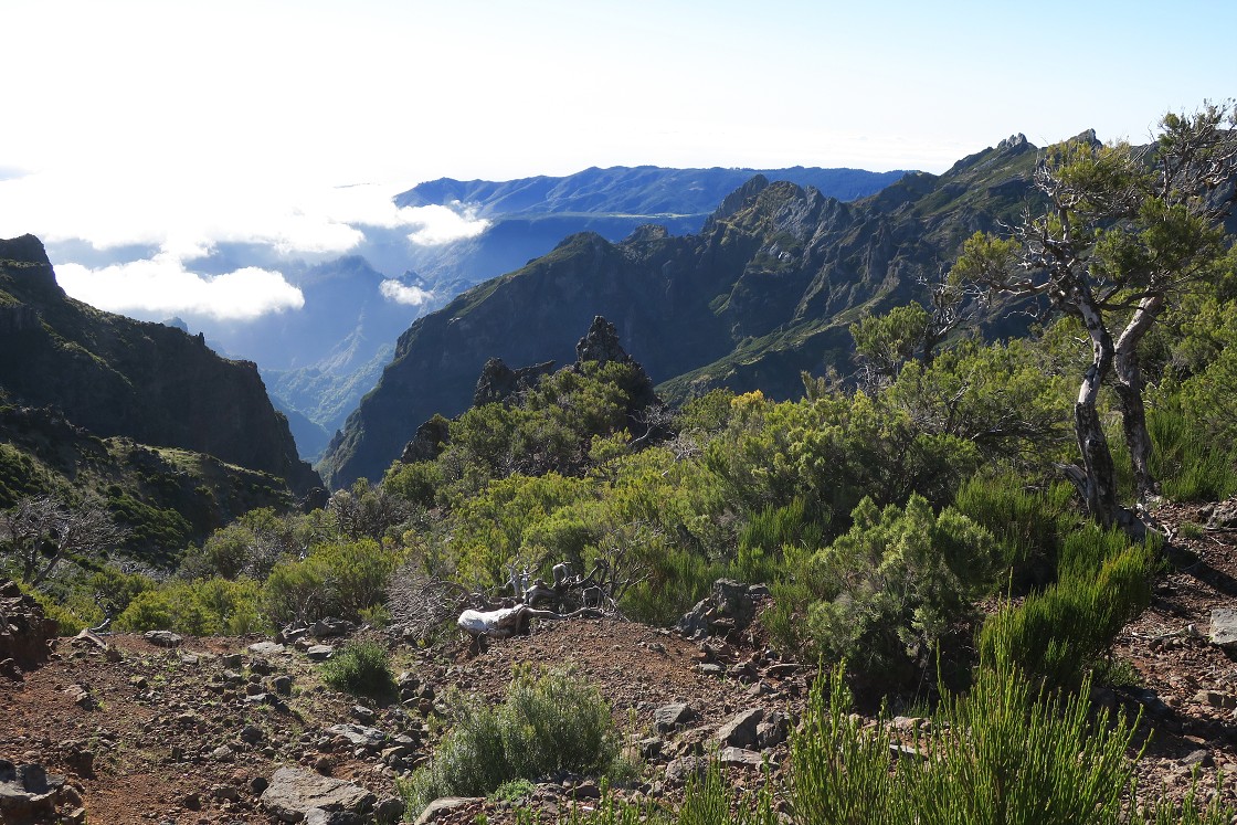 Madeira 2019