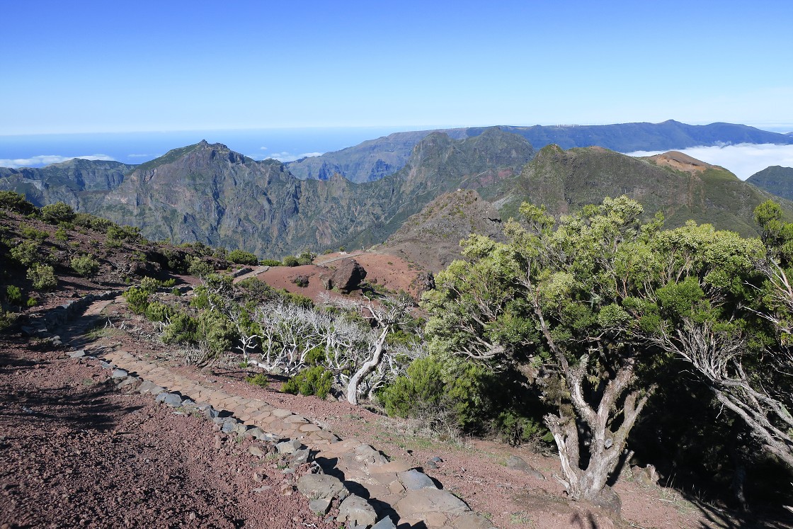 Madeira 2019