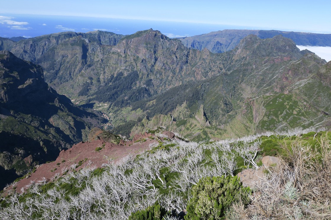 Madeira 2019