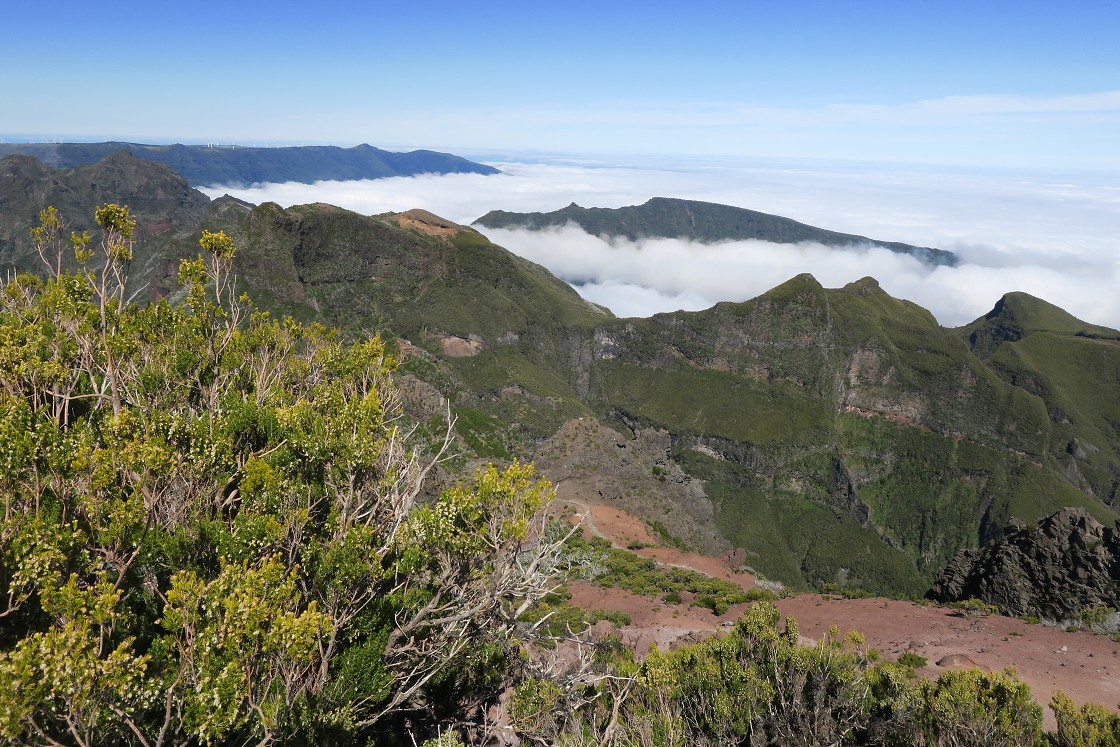 Madeira 2019