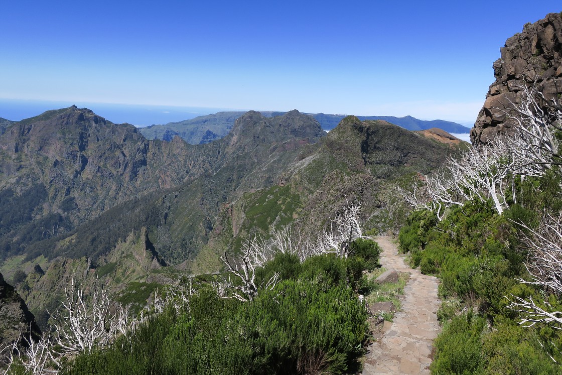 Madeira 2019