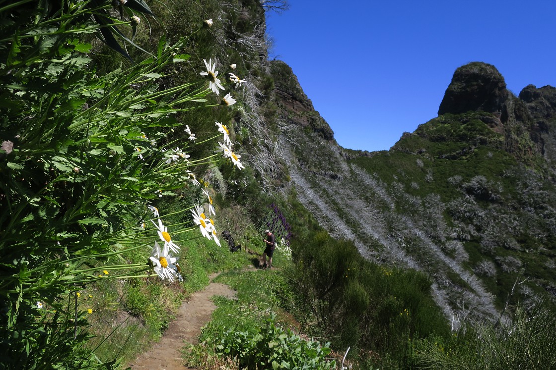 Madeira 2019