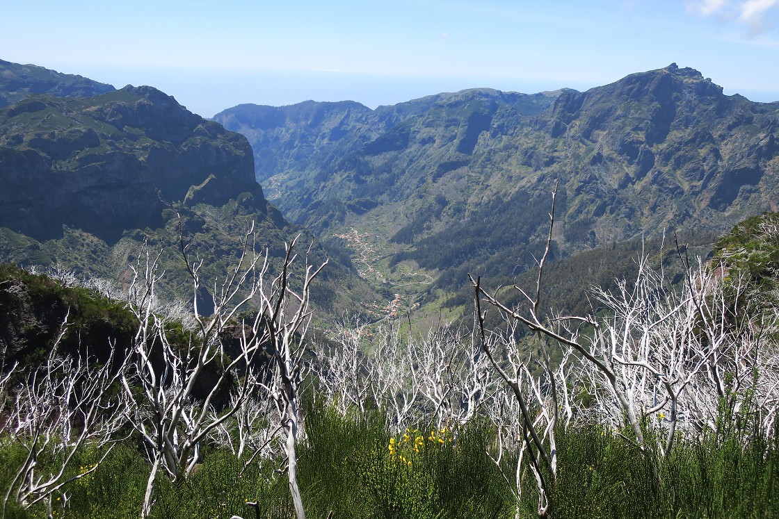 Madeira 2019