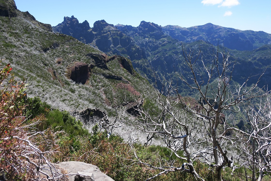 Madeira 2019