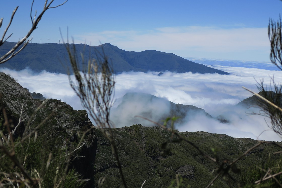 Madeira 2019