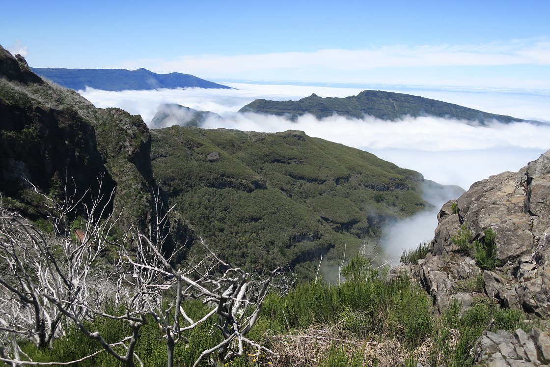 Madeira 2019