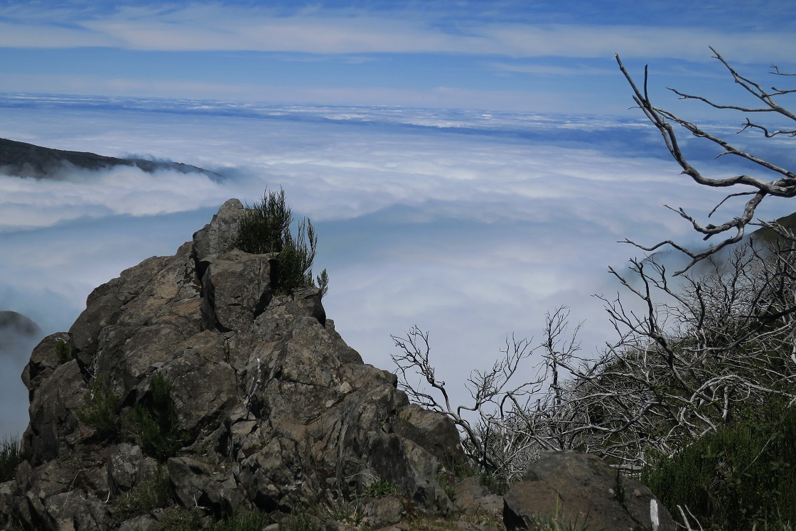 Madeira 2019