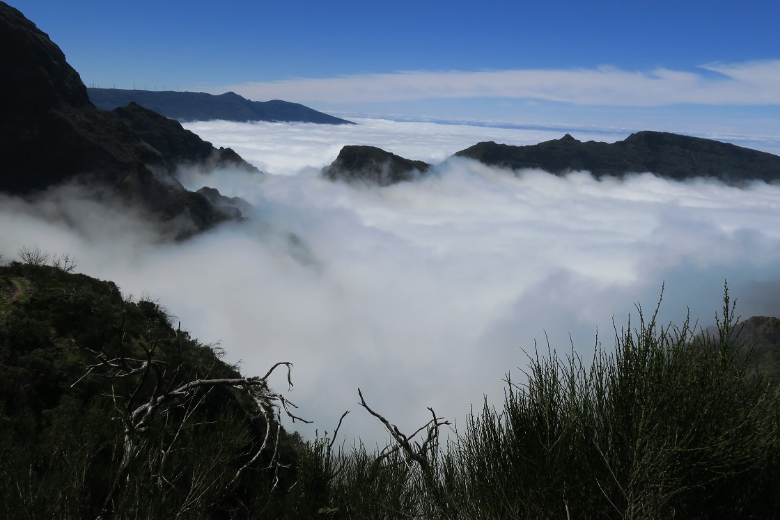 Madeira 2019